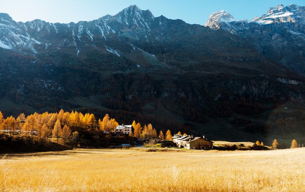 Les Neiges D'Antan Hotel Breuil-Cervinia Eksteriør billede