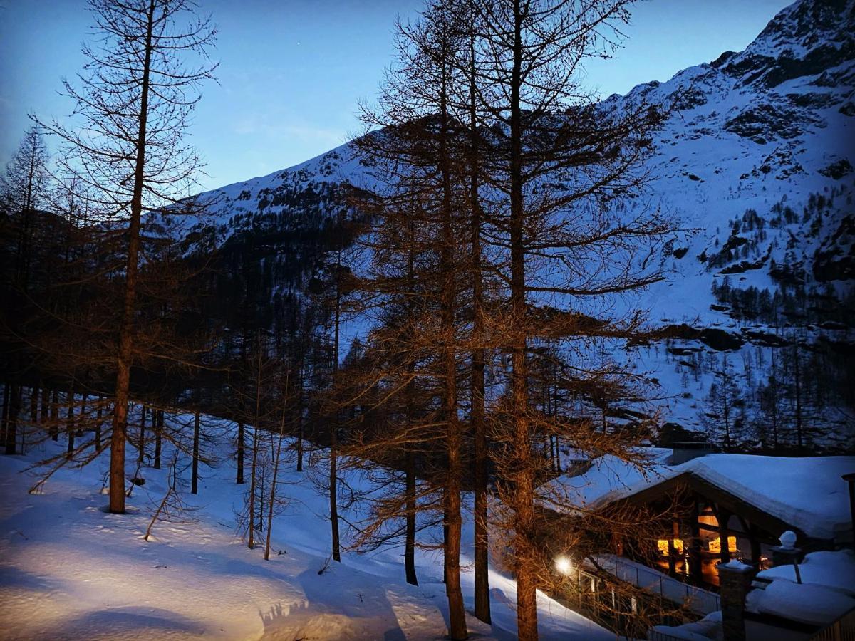 Les Neiges D'Antan Hotel Breuil-Cervinia Eksteriør billede
